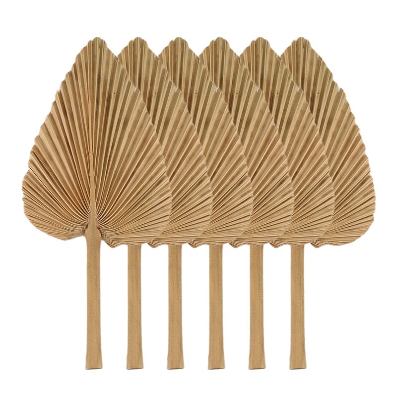 AT84-6PCS 건조 야자잎 천연 건조 야자잎 부채, - Palm Leaf Dried 리뷰 및 가격