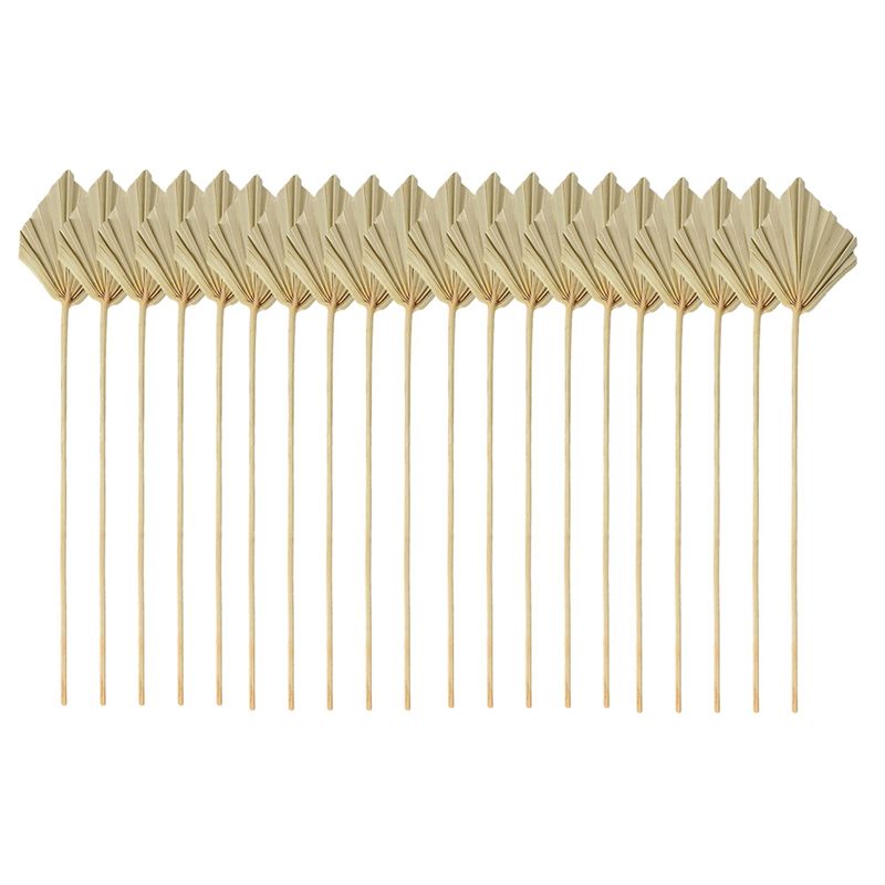 ABYN-보헤미안 스타일 건조 야자수 화살촉 작은 자연 - Palm Leaf Dried 리뷰 및 가격