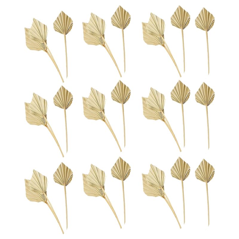 A36T-30개 보헤미안 스타일 건조 야자수 손잡이형  - Palm Leaf Dried 리뷰 및 가격