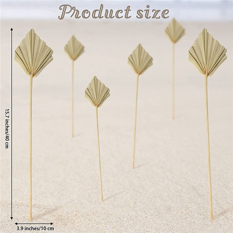 A36T-30개 보헤미안 스타일 건조 야자수 손잡이형  - Palm Leaf Dried 리뷰 및 가격