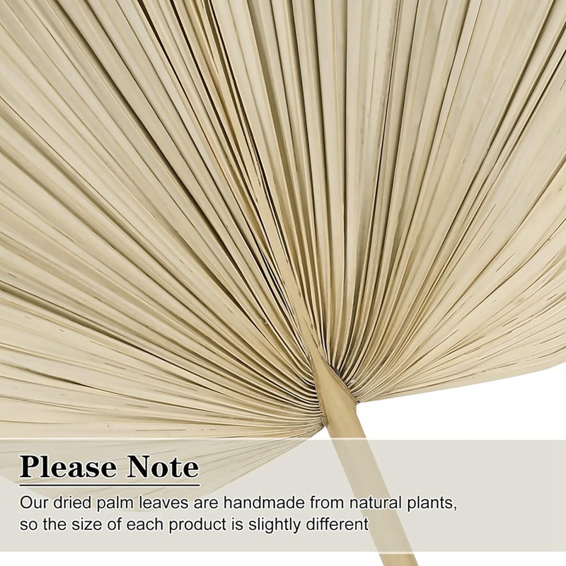 새로운 6PCS 말린 팜 잎 자연 말린 팜 팬, Boh - Palm Leaf Dried 리뷰 및 가격