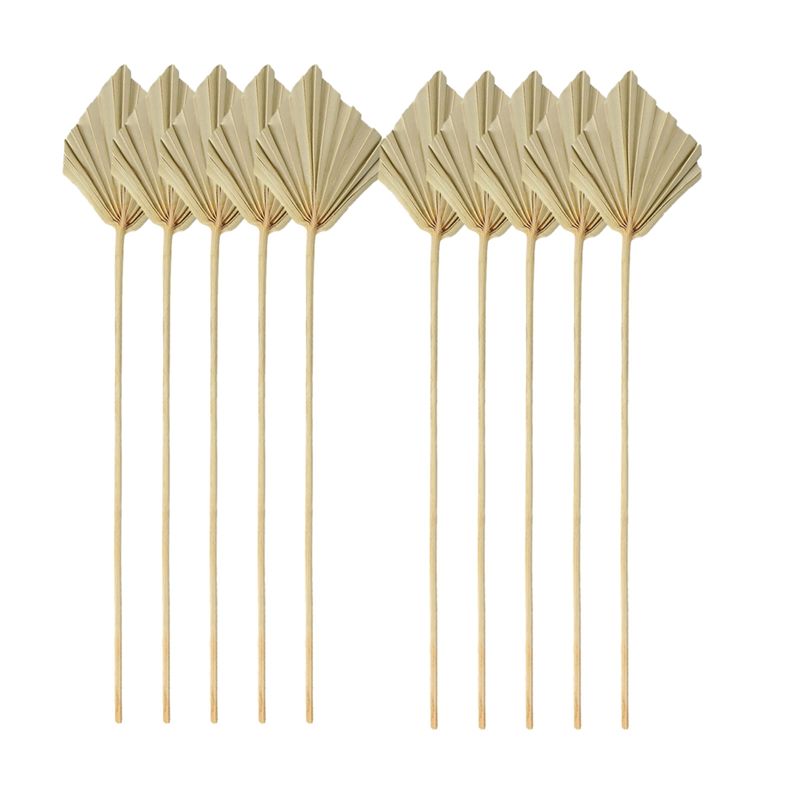 A04G-보헤미안 스타일 건조 야자수 장식 소형 천연  - Palm Leaf Dried 리뷰 및 가격